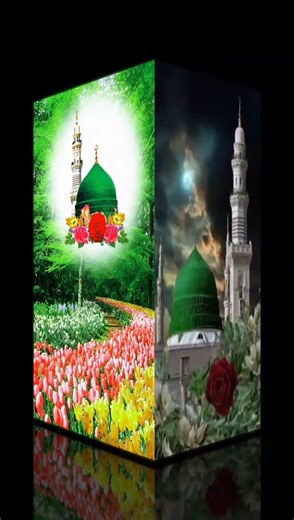 wo Mera Nabi ha nat Hazrat Muhammad sa ❤️| #786#110#Jh