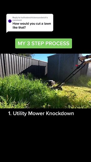 My 3 Step Lawn Care Process Explained