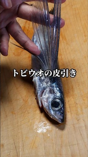 実は刺身で食べるのレア？トビウオの皮引き​ #トビウオ #刺身 #魚の捌き方