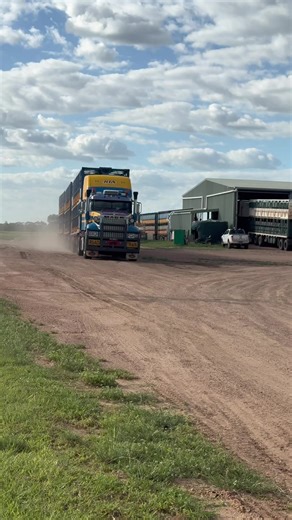 Exploring Australia’s Road Trains: The Bull Hauler Experience