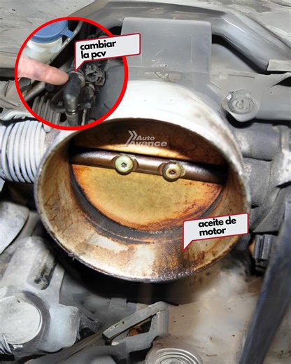 La PCV (Positive Crankcase Ventilation) es una válvula encargada de controlar el flujo de gases que se generan dentro del cárter por el escape natural de presión de los anillos; esos vapores cargados de aceite, combustible y humedad no pueden permanecer dentro del motor porque aumentarían la presión interna y contaminarían el lubricante, así que la PCV los extrae y los redirige hacia la admisión para quemarlos de nuevo en la combustión. Su funcionamiento depende del vacío del múltiple: en ralent