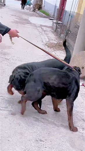 Asmile is a charitable act@ 11