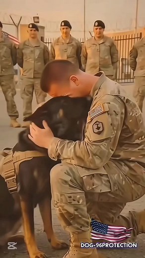 #usa🇺🇲 #k9trainer #dog🐕🐕 #dogsofinstagram #trending #trainingdogs #k9 #tactical #viralshorts #fyppppppppppppppppppppppppppppppppppp