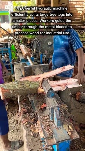 Hydraulic Log Splitting Machine