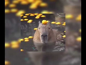 digga d-woi (sped up)