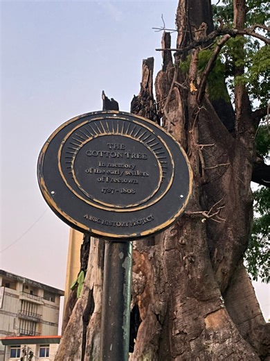 The Cotton Tree, Freetown 🇸🇱 The Cotton Tree of Freetown was more than just a tree, it was the soul of a nation. For centuries, this towering kapok tree stood at the heart of the city, witnessing history long before Freetown was founded. In 1792, formerly enslaved Africans returned from Nova Scotia and gathered beneath its branches to pray and give thanks, marking the birth of what would become Sierra Leone’s capital. From independence celebrations to everyday life, the Cotton Tree became a po