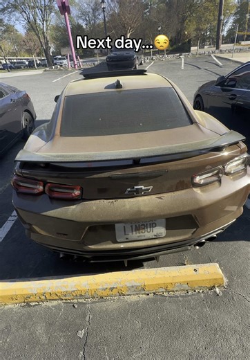 these damn bees😭 #trend #fyp #foryoupage #carsoftiktok #camaro #2ss #ss #slowmaro #hellcat #atl #cars #redeye #mopar #superslow #quan #trackhawk #jeep #challenger #charger