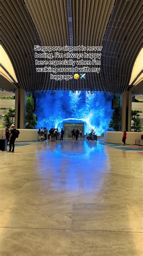 Exploring Singapore Airport: A Happy Journey