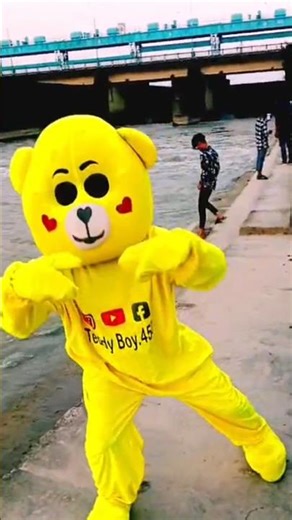 Oh my Darling Love My Teddy Bear Dance Dog Breeds Dance