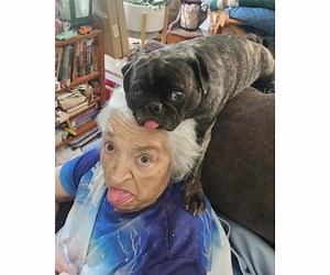 Judy Stewart Obituary (2025) - Grove City, OH - Newcomer Funeral Home - Southwest Chapel - Grove City