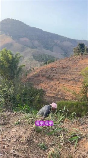 I'm Coming, Wait for It! Hilarious Surprise Ending