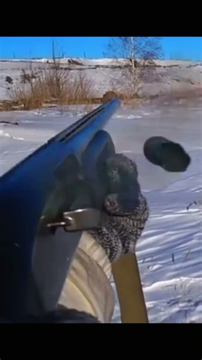 rabbit hunting#amazing #shotsvideo #hunter