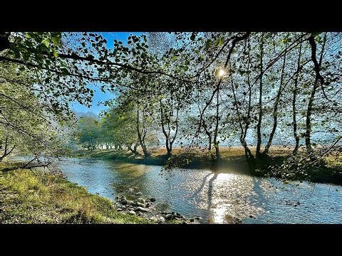 Vanja Sky Interview - Open Air Blues Festival Brezoi 2025