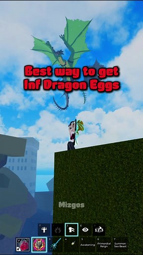 How to get Inf Dragon eggs🐧🐧🐧 #bloxfruits #roblox #mizgos #fpy #xh