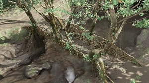 Procedural Geometry - Rubber Fig Tree Bridge