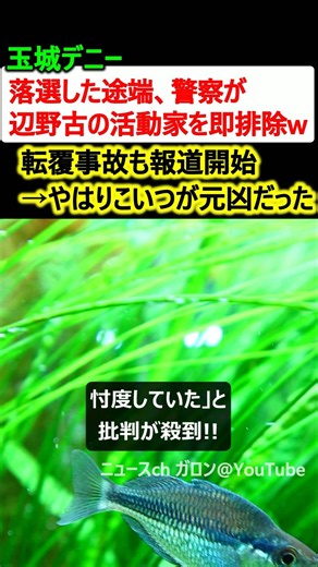 玉城デニーが落選した途端、警察が辺野古の活動家を即排除w やはり元凶は…