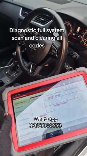 Mileage Correction, Remap, Diagnostic, and Can Phantom Vehicle immobiliser. 07873300553