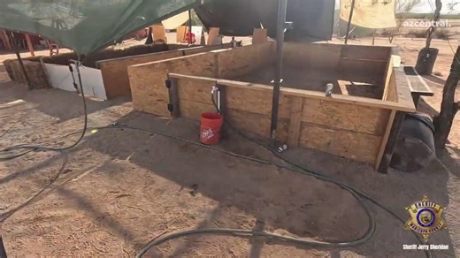 Maricopa County Sheriff's Office respond to cockfighting in progress