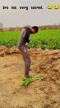 Funny video 2026 | fast lane funny | #shorts