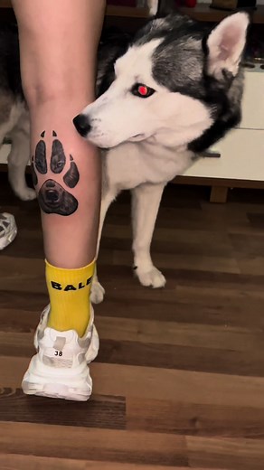 @Tulinin.Pablosu 🥹🤍🕸️