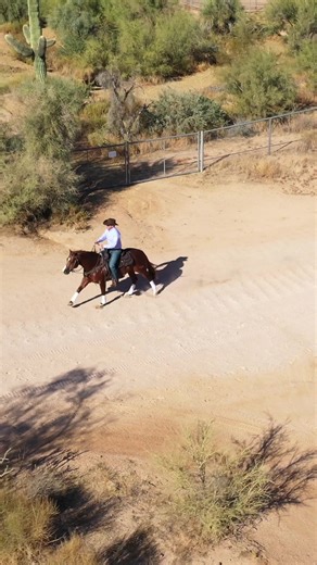 Key Techniques for Training a Well-Behaved Horse