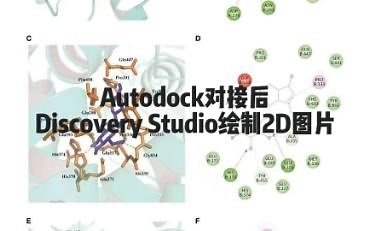 Autodock对接后运用Discovery Studio绘制2D图片