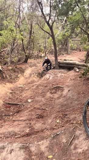 Unexpected Tree Appearance in MTB Adventure