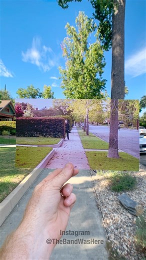 60K views · 987 reactions | Happy Halloween everyone! Halloween  by John Carpenter @johncarpenterofficial. Co-written and Produced by Debra Hill I’ve posted some of these images before, but when I was in LA earlier this month I revisited South Pasadena and took some new pics/video. Enjoy! #halloween #michaelmyers #johncarpenter | The Band Was Here | Facebook