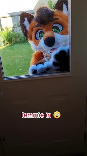 Fox Gang Fursuit Adventure for Affection and Food