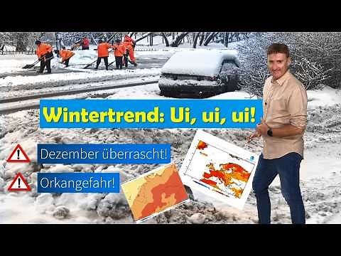 ❄️ Neue ECMWF-Prognose überrascht im Dezember – was für ein Winter kommt da bloß auf uns zu?