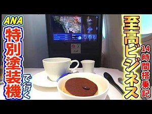 【ANA】B787ビジネスクラスで行く 太平洋横断14時間の旅【NH113 IAH→HND搭乗記】