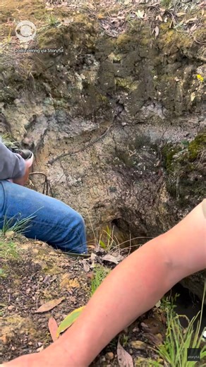 A Labrador on a run with her owner went off track and ended up finding a missing, deaf dog trapped in a mineshaft. Australian author Jodi Toering said her neighbor's dog, Marlo, was missing for two weeks. It was when Toering's daughter went on a run with their dog, Bella, that they made the miraculous discovery. “Bella took off, she wouldn’t come back. Mia followed and Bella led her to a four-meter deep mineshaft where they discovered Marlo alive. We raced to the rescue,” Toering said. “Now he i