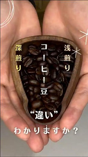 What's the Difference Between Dark Roast and Light Roast?