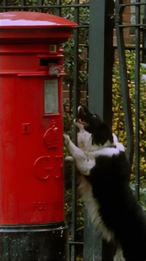 You Got Caught, Bean! #shorts #classicmrbean