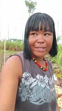 harvesting calabash for crafts