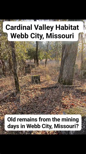 Do you ever find old structure remains in the woods and wonder what it was for. Perhaps it was used for mining that once took place in the area or maybe an old house. | Joplin Outdoors