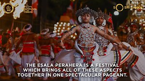 With a historic significance that dates back to 305-331 A.D., the Esala Perahera is a religious and cultural pageant that is the biggest Buddhist and cultural festival in Sri Lanka! Learn more about the history of the grand Esala Perahera! . . . #HistoryOfPerahera #KandyEsalaPerahera2021 #SoSriLanka #ExperienceSriLanka #VisitSriLanka #CultureInSriLanka #SriLanka #SriDaladaMaligawa | Tourism Sri Lanka