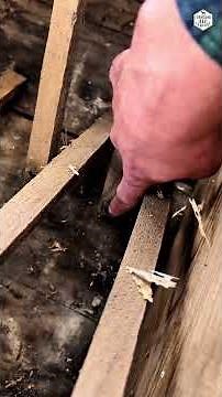 Beekeepers! What Is This Beekeeping Box?