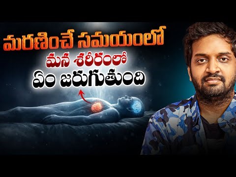 What Really Happens to Our Body When We Are Dying? | Science Explained