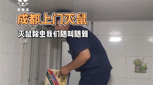 成都上门灭鼠除虫，快速响应，彻底清除老鼠蟑螂白蚁等各种害虫！