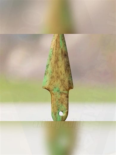 Exploring Architectural Designs Inspired by Nature