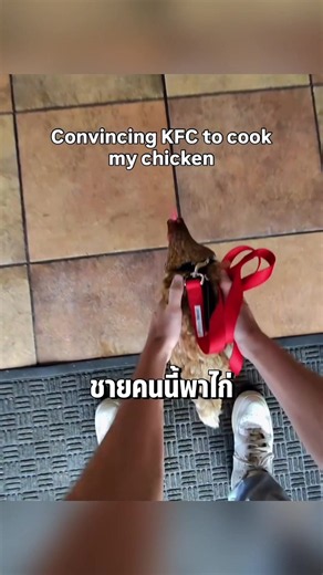 พาไก่ที่เลี้ยงไป KFC ขอให้เอาไปทอด ทำพร็องค์ตลก