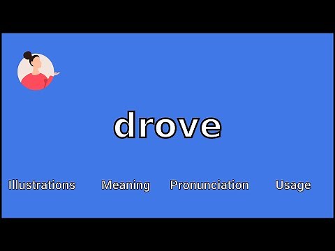 DROVE - Meaning and Pronunciation