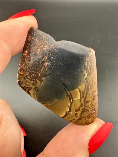 Hart Mountain Jasper - Tumble - Plush Oregon - Etsy