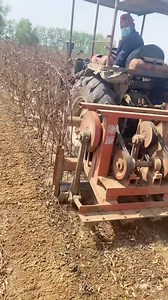#2024machinery #reelsvideoシ #2024farming #2024trends #smallbusinessbigdreams #machine #engineering #chinese #farming #plants #harvest | For sale