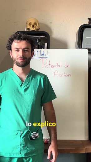 Potencial de Acción en Fisiología Neuronal