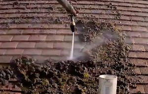 47K views · 555 reactions | EXTREME Moss Makeover in Action | Partridge Exterior Cleaning | Facebook