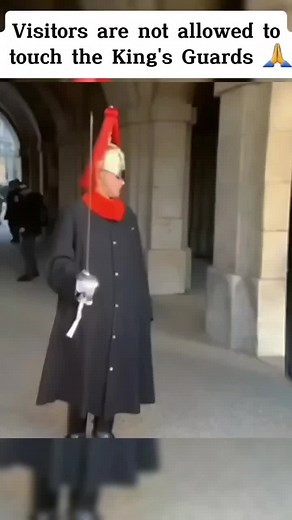 Visitors are not allowed to touch the King's Guards 🙏 #guard #kingguard #horse #respect #foryou #fyp #military