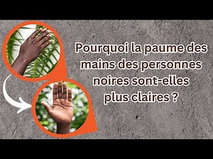 Pourquoi la paume des mains et la plante des pieds des personnes noires sont-elles plus claires ?