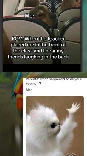 #babyfreitas #viralvideo #viralshort #memes #funny